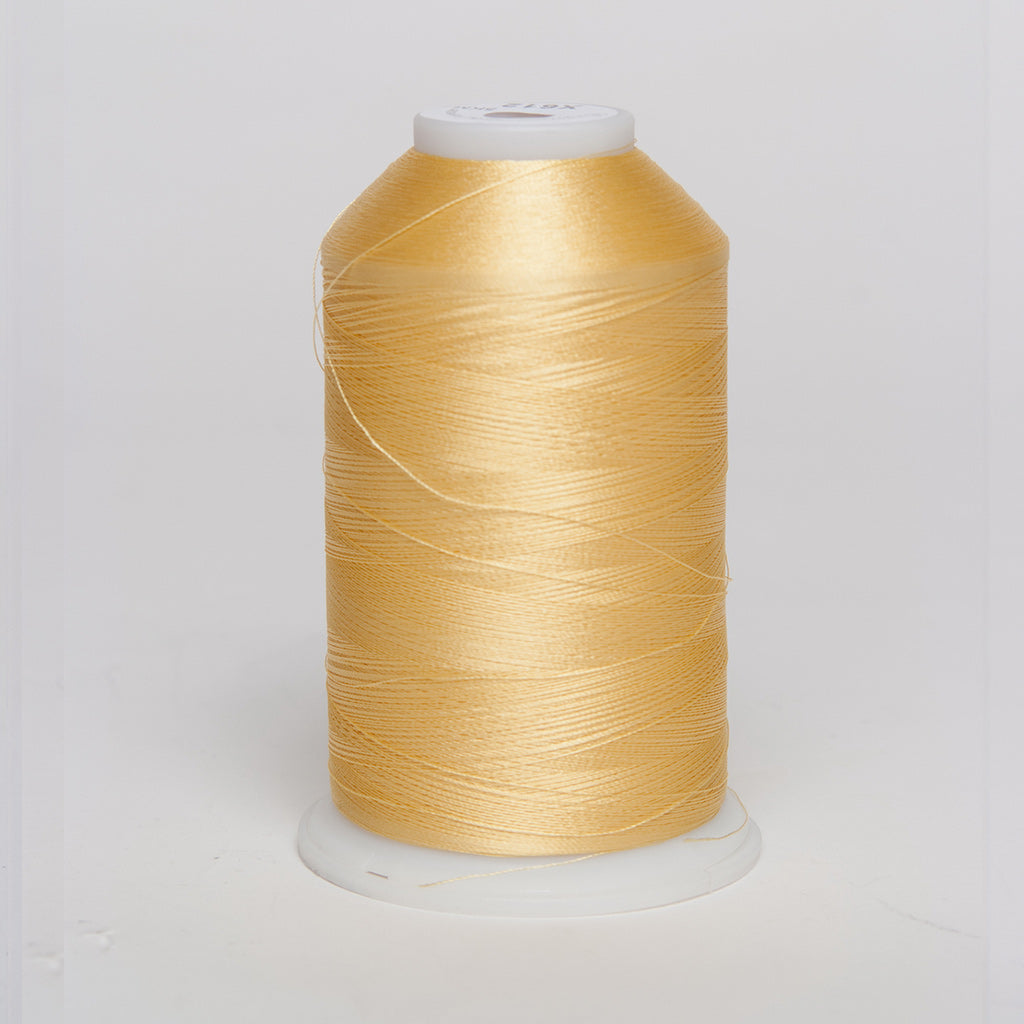 Exquisite Fine Line Embroidery Thread 1500m 60wt T812 Bone